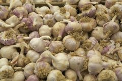 大蒜加工污水處理方案